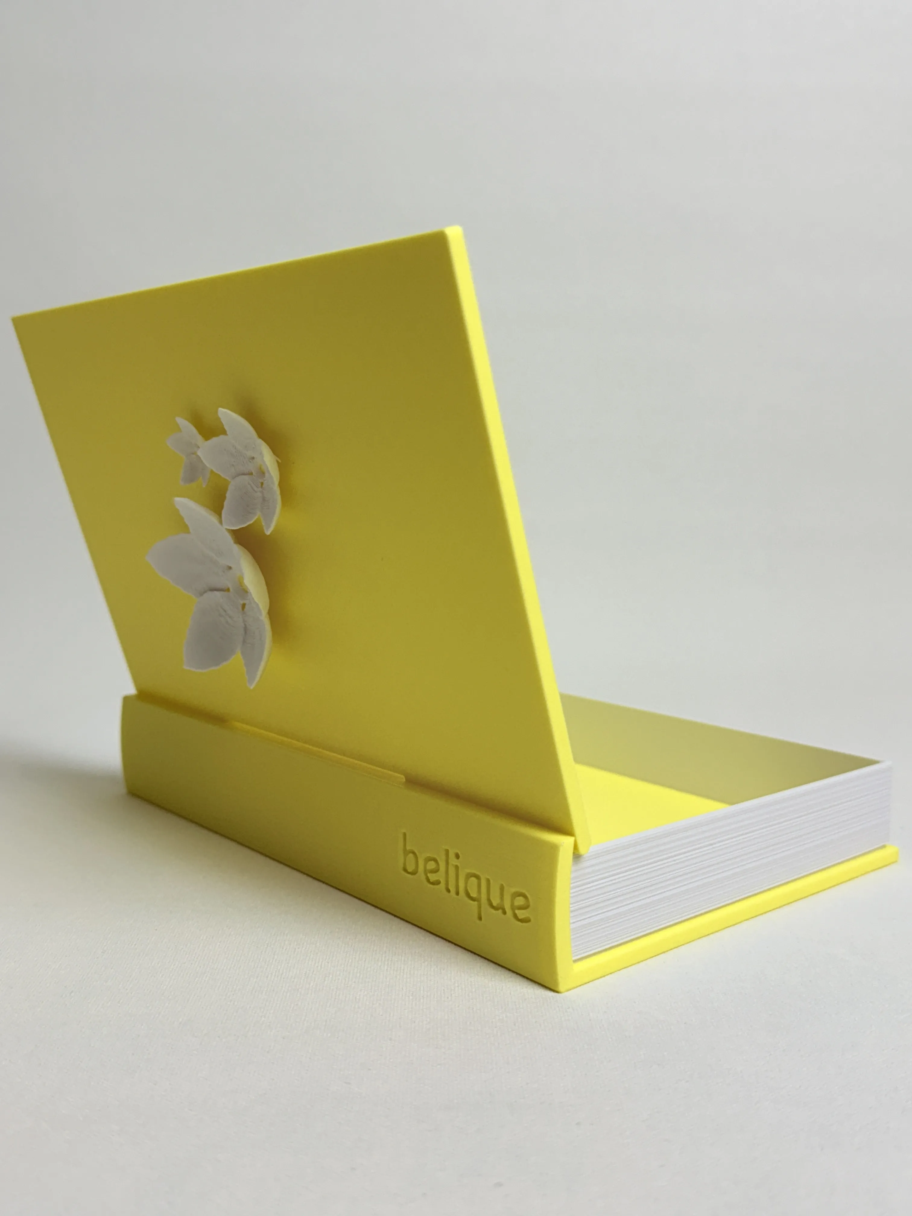 Kitap Kutusu ile Düzenli ve Şık Yaşam Alanları Oluşturun